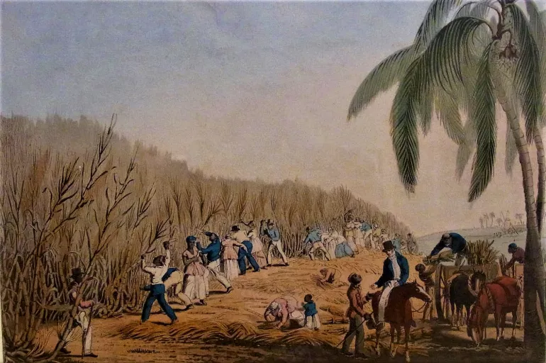 Kirill Nazarenko: How to become a millionaire in the Caribbean?