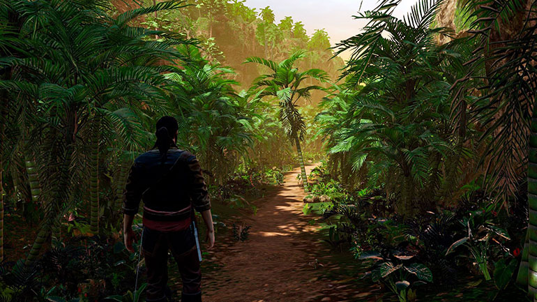 Corsairs Legacy nature jungle